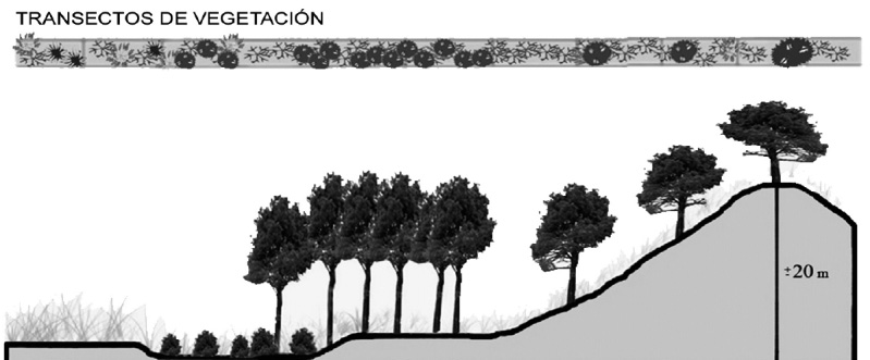 I. PRADO GARCÍA et al. «Distribución de especies vegetales y variación de la humedad edáfica en el Caracillo (Tierra de Pinares, Segovia)» duos.