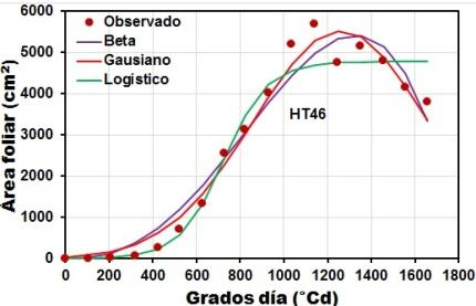 Capítulo 2 103 En Villavicencio, al igual que en Palmira, los modelos Beta y Gausiano presentaron un mejor ajuste de los datos observados de área foliar de los genotipos HT7, HT46 y JJT18 comparado