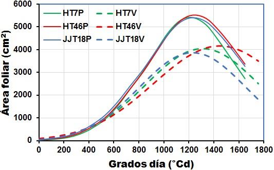 104 Efecto de las variaciones ambientales en el crecimiento, desarrollo y acumulación de azúcares en variedades de sorgo dulce JJT18 (3867 cm 2 planta -1 ).