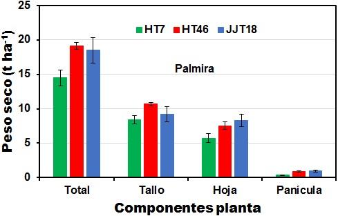 Capítulo 2 117 Las concentración de azúcares (Brix) en los genotipos de sorgo HT7, HT46 y JJT18 fue mayor en las condiciones