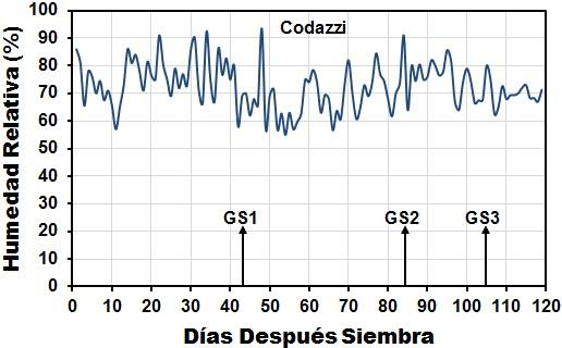 Capítulo 1 23 Figura 1-4. Variación de la humedad relativa durante el ciclo de crecimiento de los genotipos de sorgo dulce en las zonas de estudio, 2009-2010. Caracterización edáfica.