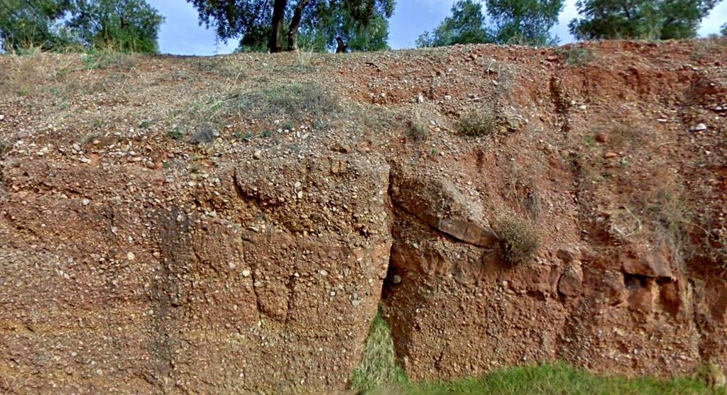 Conglomerados y areniscas del Mioceno,