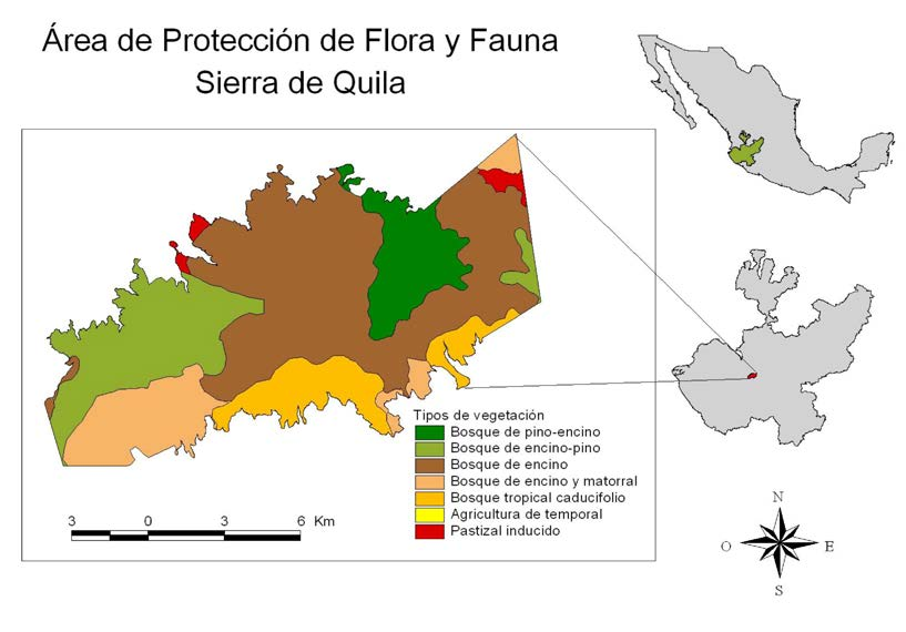 CARNÍVOROS DE QUILA Área de estudio. El Área de Protección de Flora y Fauna Sierra de Quila (APFFSQ) fue decretada el cuatro de agosto de 1982.