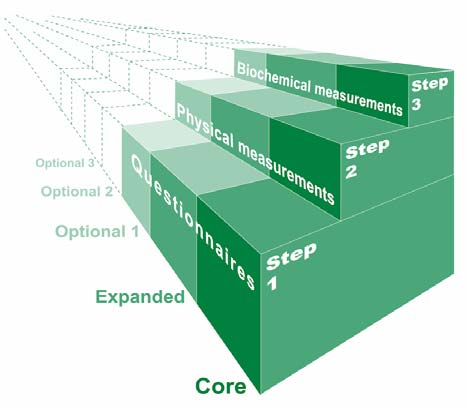 Identificación del alcance de la encuesta STEPS Introducción Para elaborar un plan de ejecución STEPS, debe definirse claramente el alcance del instrumento STEPS que se cubre.