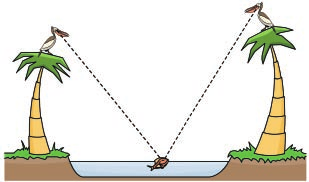 Pág. Página En las dos orillas de un río hay dos palmeras. La más alta mide 0 codos; la otra, 0 codos, y la distancia entre ambas es de 0 codos. En la copa de cada palmera hay un pájaro.