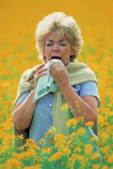 ÁMBITO FARMACÉUTICO Alergias primaverales y antihistamínicos ANTONIETA GARROTE a y RAMON BONET b a Farmacéutica. b Doctor en Farmacia.