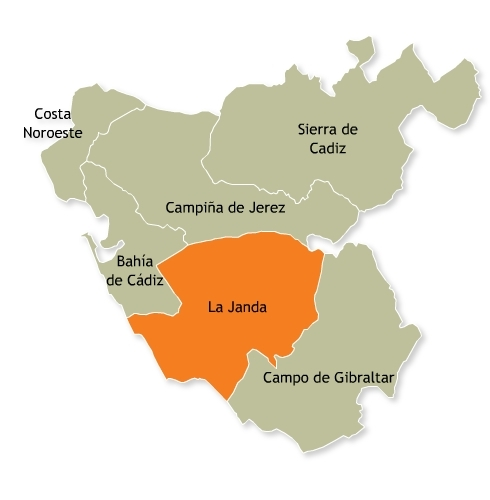 LA COMARCA DE LA JANDA La Janda es una de las seis comarcas de la provincia de Cádiz, está situada en el centro de la misma, entre la sierra y el mar. Está formada por ocho pueblos.