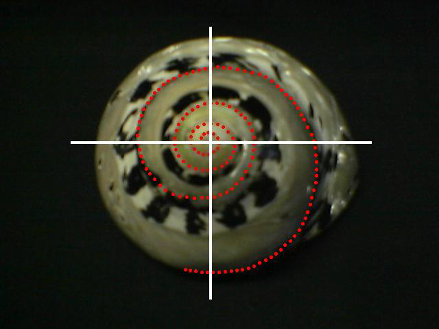 A: Estado natural B: Pulido Espiral dibujada en el caracol FOTOS DE UN CARACOL DE SANTA