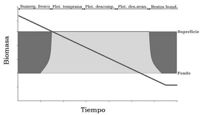 Cada etapa marcada en la parte superior de la gráfica suele presentar una duración variable, pero se han considerado como equi-temporales por motivos expositivos.