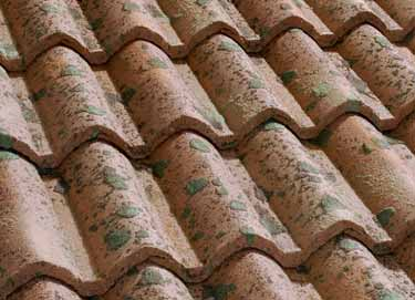 PLANA GRIS PIZARRA tejas de hormigón guadarrama naturaleza en tu hogar Teja singular que reproduce la aparición espontánea de capa vegetal,