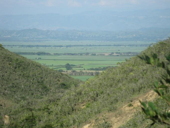 A B C D E F Figura 7. Tipos de hábitats presentes en el Valle del río Cauca.A. Arbustales y Matorrales subxerofíticos.