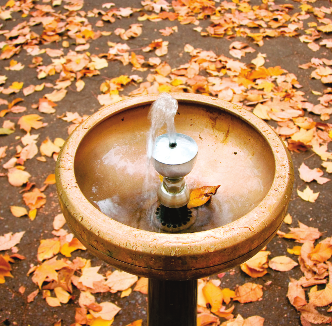 EL COBRE ES SEGURO, ECOLÓGICO Y ESENCIAL Principales resultados de la Evaluación Voluntaria de Riesgos El cobre es un nutriente esencial para las personas: El valor límite de seguridad en el agua