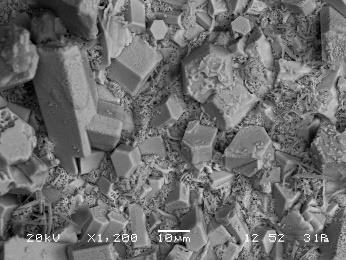 En la superficie sin recubrir se observa corrosión así como cristales hexagonales correspondientes a Zinc depositado en la superficie del material, además de wiskers característicos principalmente
