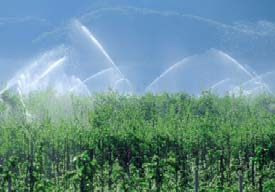 OBJETIVO Mantener sistemas de riego operativos En la agricultura actual el riego de grandes superficies cultivables es una necesidad básica de cara a obtener los rendimientos deseados.