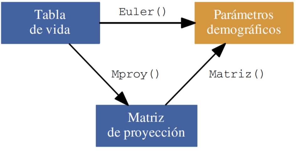 Decripción de la funcione principale Euler Etiación de paráetro deográfico de una tabla de vida.