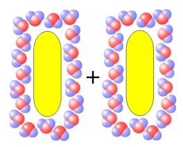 Interacciones a nivel atómico Enlaces débiles: Hidrófobo Las dos moléculas de hidrocarburo están separadas,