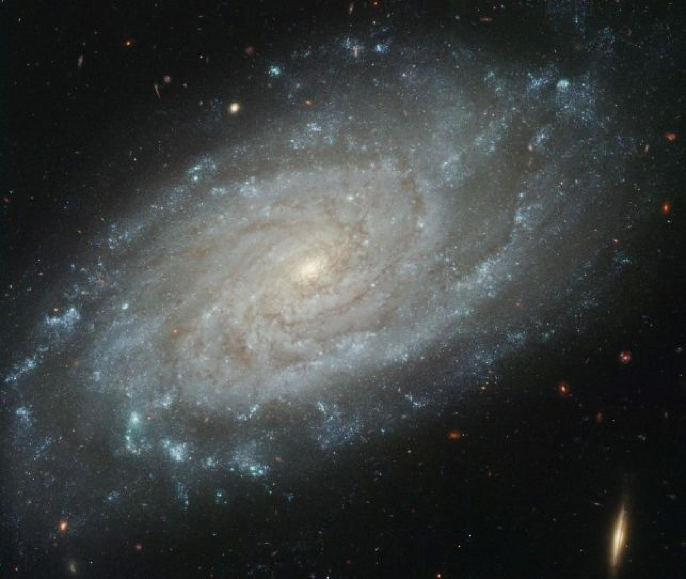 Medio interestelar 3 NGC 3370 (Hubble). Similar a nuestra galaxia. Una galaxia se compone de: Estrellas Nubes de gas y polvo Medio interestelar Medio interestelar, está formado por gas y polvo.