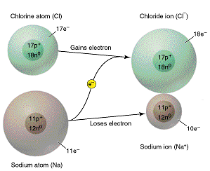 Carga eléctrica: El electrón y el protón son partículas subatómicas que presentan una propiedad específica denominada carga eléctrica.