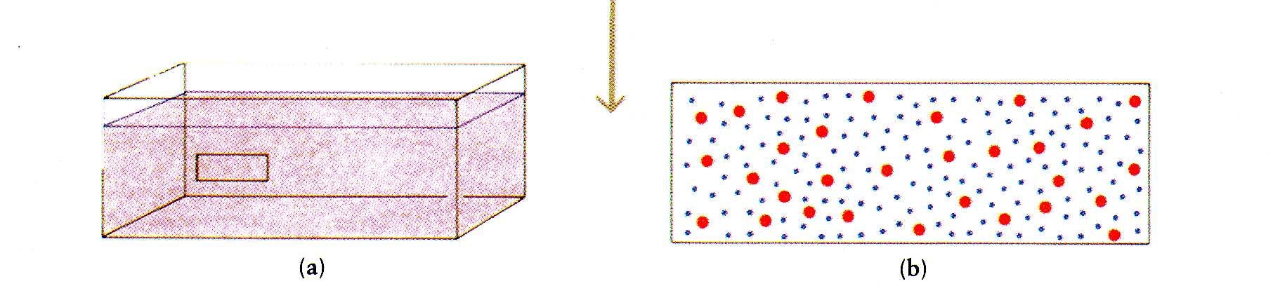 Clase 11. Transporte a través de las membranas 1. La concentración de solutos en el interior de la célula es diferente que en el exterior. 1. El medio extracelular posee una composición química diferente al medio intracelular.