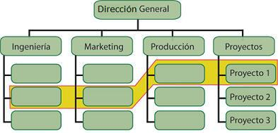 ESTRUCTURA MATRICIAL Se organiza en base en dos criterios a la vez: funciones y productos.