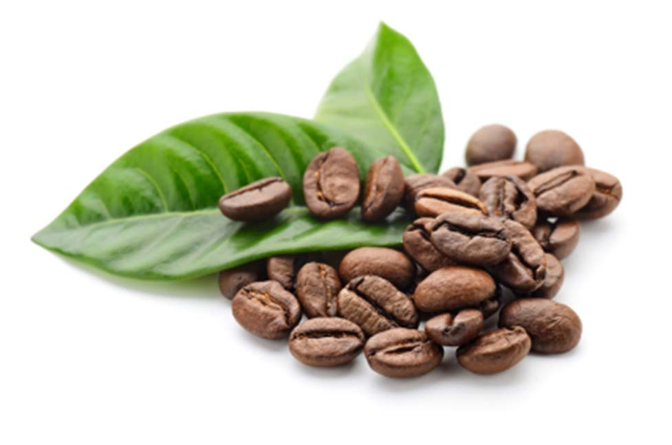 ACTIVIDADES PRODUCTIVAS COOCAFÉ R.L., representa a más de 4800 pequeños productores de café de distintas zonas de Costa Rica.