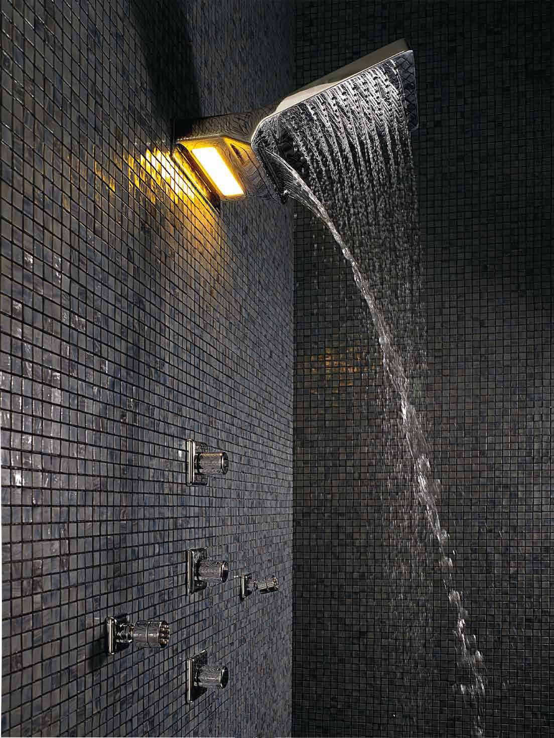 Wall mounted showerhead with rain/ blade jets and light.