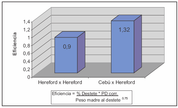 Figura 6. Estimación de la eficiencia de producción de terneros de vacas Hereford y Cebú por Hereford. INIA Tacuarembó, 1993.