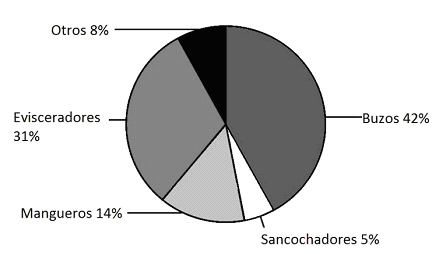 Figura 9. Proporción de trabajadores por categoría laboral durante la pesca de pepino de mar en la península de Yucatán. Los hombres constituyen la fuerza laboral, tal como se aprecia en la tabla 10.