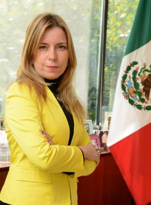 DELEGACIÓN MEXICANA HOUSING DAY 2016 Rosario Robles Berlangas, Secretaria de Desarrollo Agrario Territorial y Urbano (SEDATU).