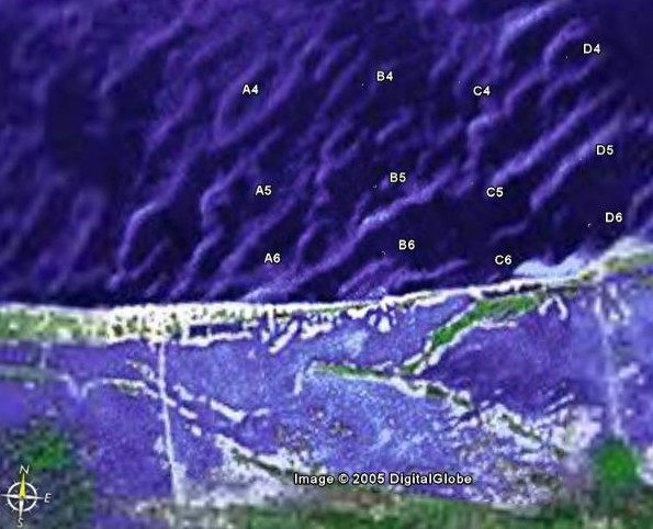 Se trazaron 4 transectos de Norte a Sur con una separación de aproximadamente 500 m entre las estaciones del mismo transecto y 1000 m entre