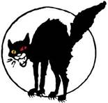 Así pues, tanto en las culturas chinas como en las hispanas, ver un gato negro es sinónimo de mala suerte. Eres supersticioso?