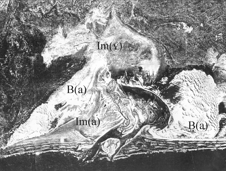 La Caleta de los Loros La zonas costeras del Golfo San Matías presentan una variedad de formas: acantilados en la costa norte (Barranca Final, Bahía Creek), restingas rocosas en la costa oeste (El