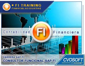 FI - Nivel INICIAL El Nivel Inicial de la Carrera Consultor Funcional en Módulo FI, ha sido creado con el fin de fijar bases sólidas de conocimientos en la gestión del área de Finanzas Contables