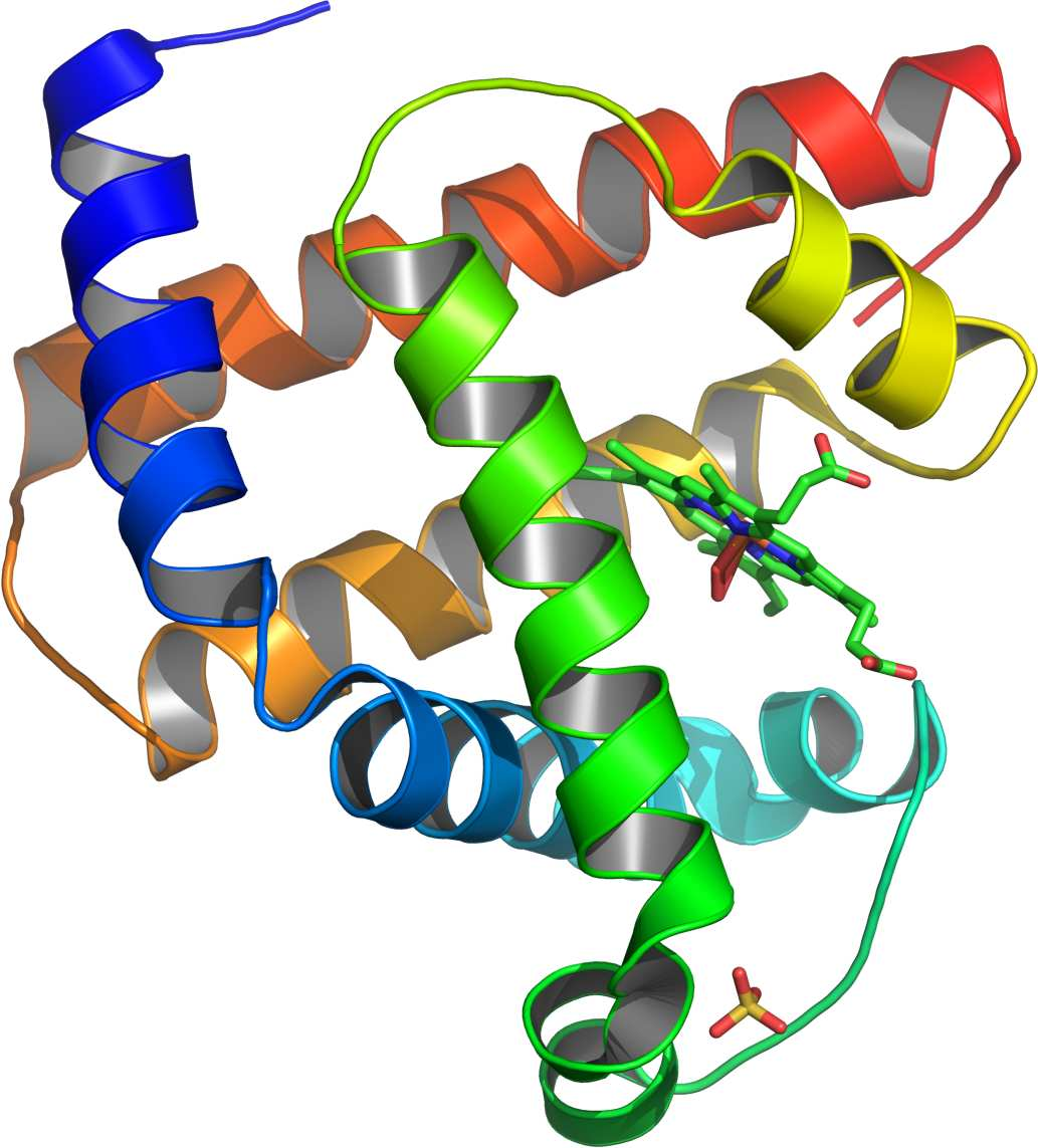 la? Estructura secundaria de la proteinas Proteinas hoy El sistema GOLEM (Muggleton y Feng, 1992) fue usado para la predicción de la estructura