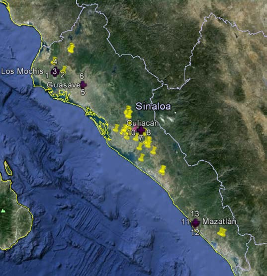 Acciones realizadas Influenza DGE-SENASICA desde 2013 Ejemplo: Granjas avícolas y porcinas en Sinaloa 2013 Distribución de Unidades de Salud Monitoras de Influenza (USMI) en las zonas de riesgo del