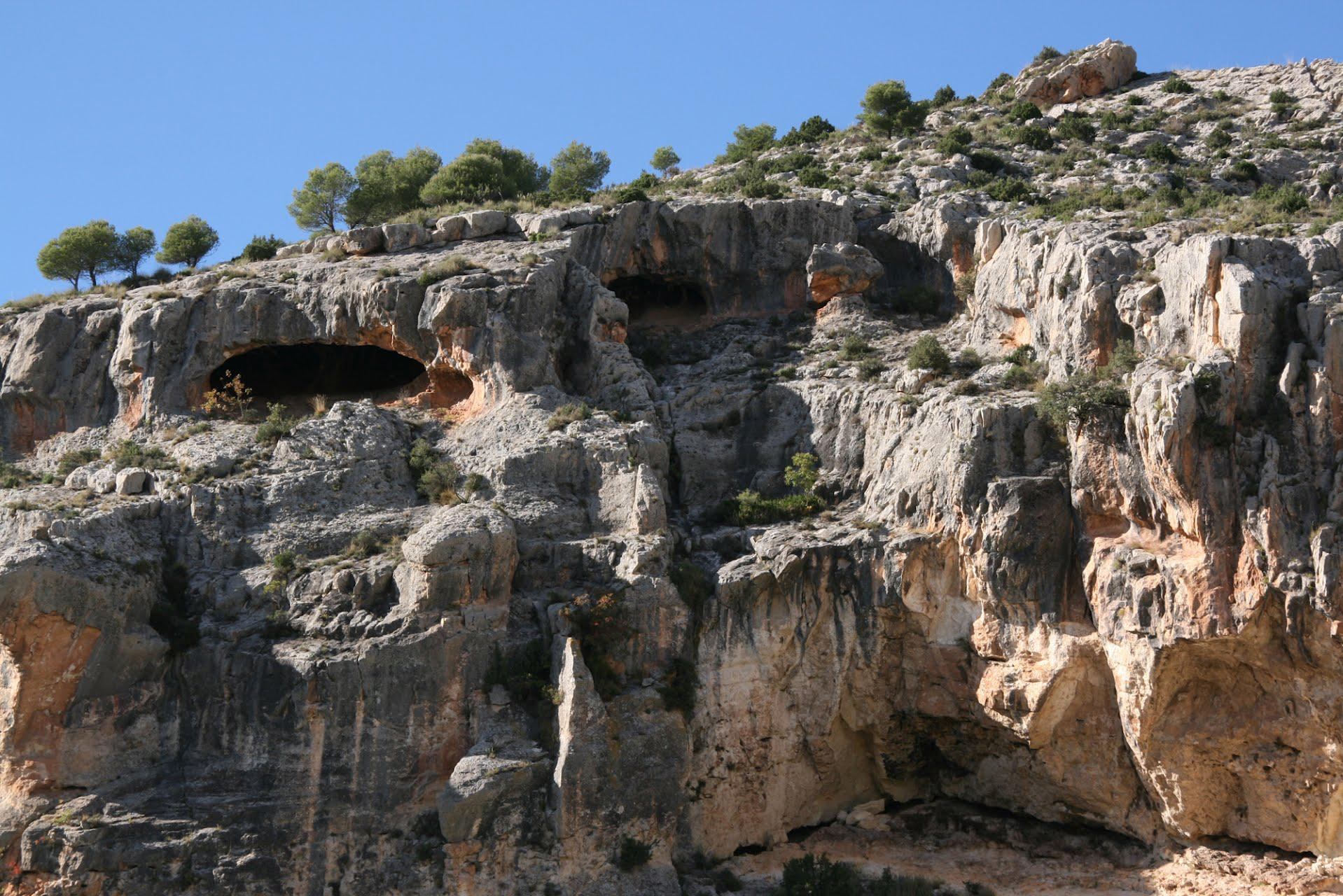 Detalle de erosión en zona anterior: Calizas del Burdigaliense, Mioceno Inf.