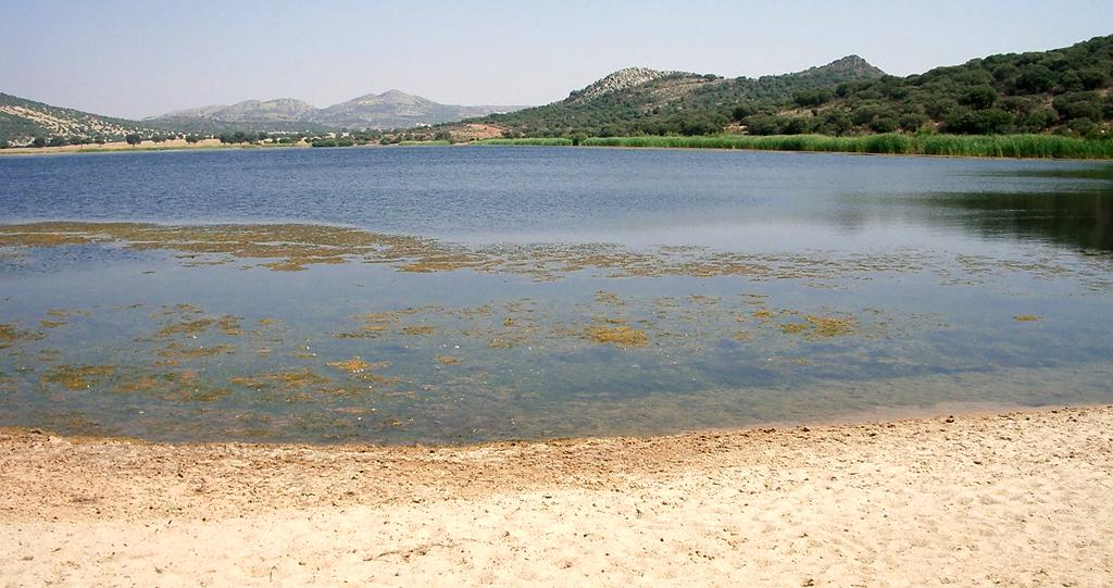 Laguna El Palomar. Alcaraz, Albacete.