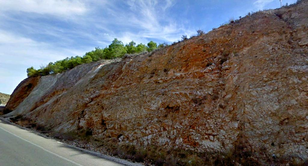 Calizas del Mioceno Inf., Terciario, tectonizadas.