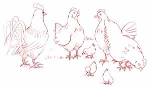 LA ENFERMEDAD 9 La gripe aviar o influenza aviar es una enfermedad peligrosa debido a que puede causar la muerte de todas las aves de una granja La