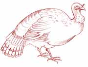 La gripe aviar es una enfermedad peligrosa debido a que algunos tipos de gripe aviar pueden enfermar a los humanos e incluso causarles la muerte.