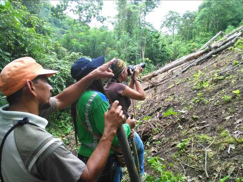 Este fue aplicado en el sector de intersección del proyecto con el Bosque protector Carrizal Chone, 800 m de longitud x 2 metros (1600 m 2 ) para aplicar un análisis cualitativo del área.