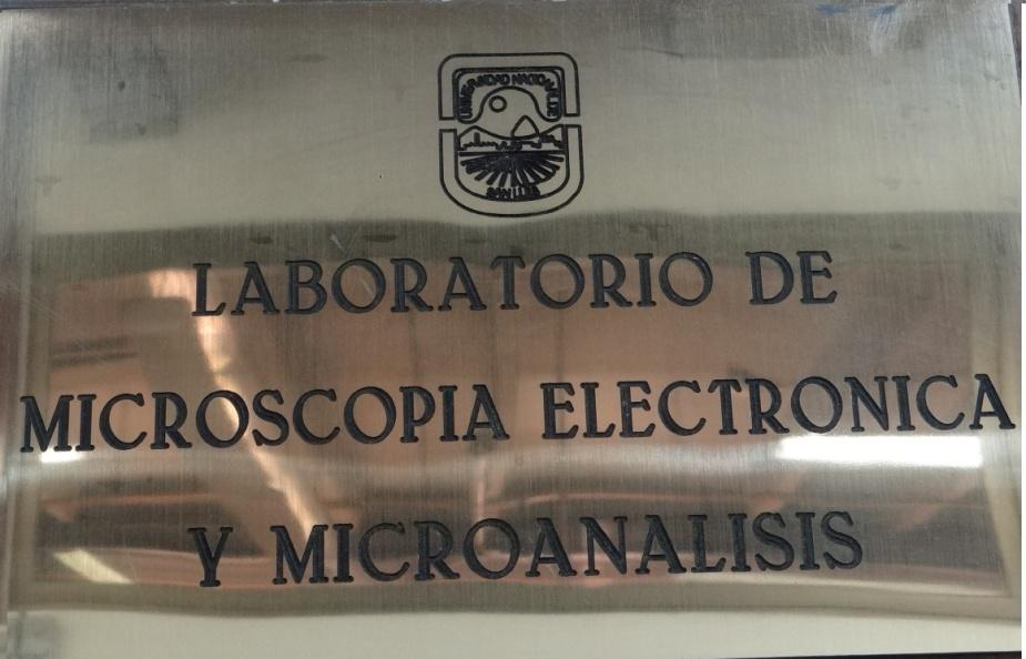El video A TRAVÉS DEL MICROSCOPIO ELECTRÓNICO DE BARRIDO se exhibirá a los alumnos de BIOLOGÍA GENERAL Y CELULAR que cursan el primer año de las carreras de Bioquímica, Farmacia, Técnico