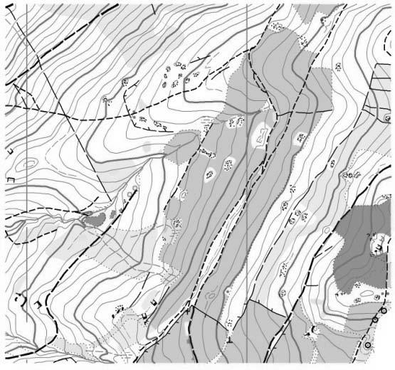 La topografía 13 Para representar la altitud en los mapas se pueden utilizar varios sistemas, los más comunes son: Mapas de isopletas, isolíneas o