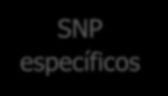 Evaluaciones genéticas SNP