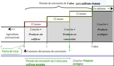 2 Agricultura Ecológica EL PERIODO DE CONVERSIÓN Título III,