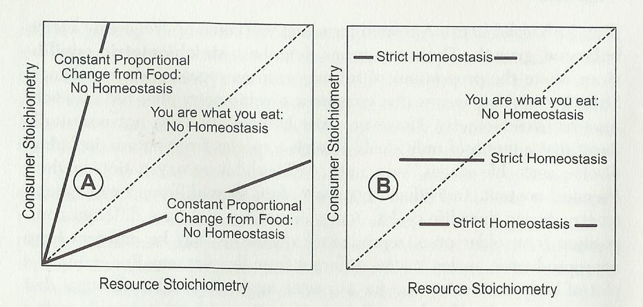 Figure 4. Relationships between consumer, and resource stoichiometry. Horizontal and vertical axes are any single stoichiometric measure, such as nitrogen content or carbon:phosphorus ratio.