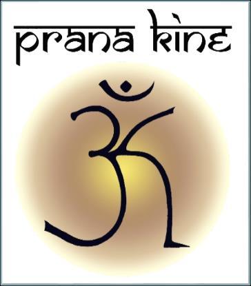 Programación Académica Prana Kine E.I.R.L DIPLOMADO EN KINESIOLOGÍA INTEGRATIVA 2015 (II versión) www.pranakine.cl T.
