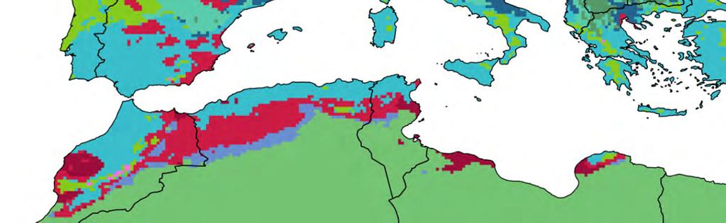 Oceánico Mediterráneo (Csb) Semiárido Semiárido frio (BSk)