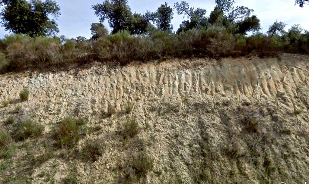 Arcosas y arenas feldespáticas del Oligoceno,