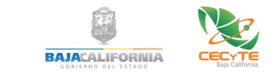 El Colegio de Estudios Científicos y Tecnológicos del Estado de Baja California, a través de la Coordinación de Arte y Cultura te invita a participar en el: 13 FESTIVAL ESTATAL DE ARTE Y CULTURA DE